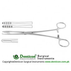 Ulrich Dressing Forcep Straight Stainless Steel, 22.5 cm - 8 3/4"